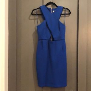 Torn by Ronny Kobo dress